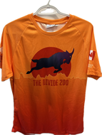 D200 Racer Tech or Cotton-feel T-Shirt - Unisex & Ladies