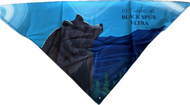 Black Spur Ultra 10th Annual - Ice Bandana Tube (Copy)